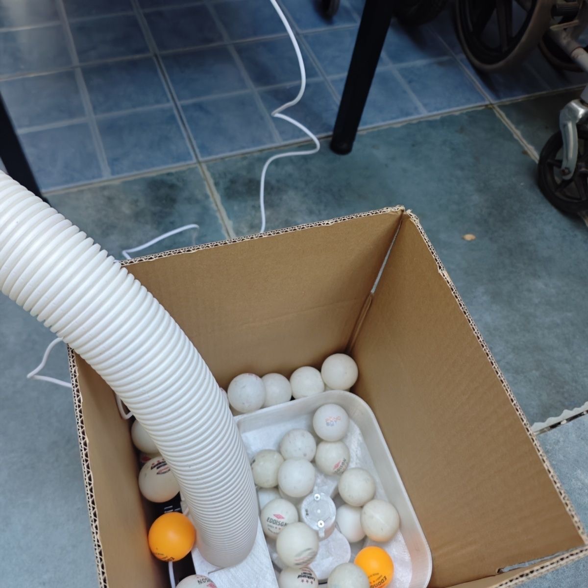 Automatic Table Tennis Loading - Table Tennis Gun ulasan dan harga
