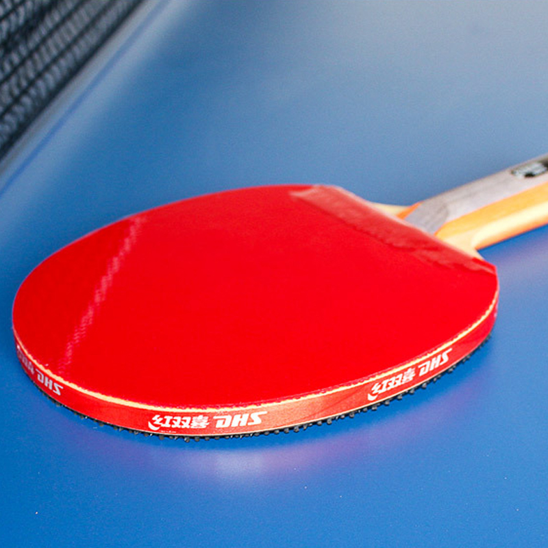 DHS Self-adhesive Table Tennis - Table Tennis Defense ulasan dan harga