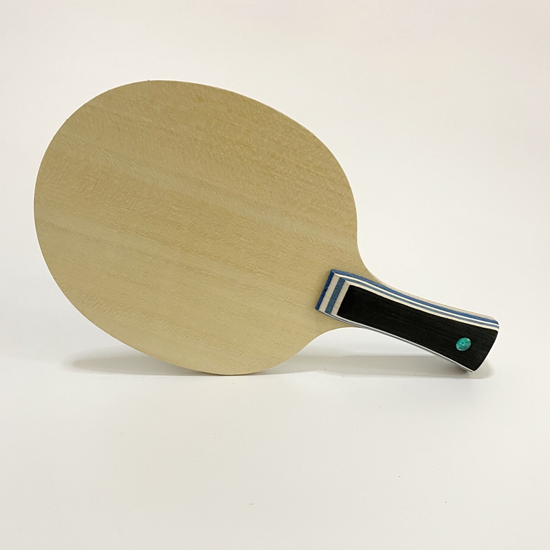 Lemuria VIS Carbon Fiber Table - Table Tennis Review ulasan dan harga