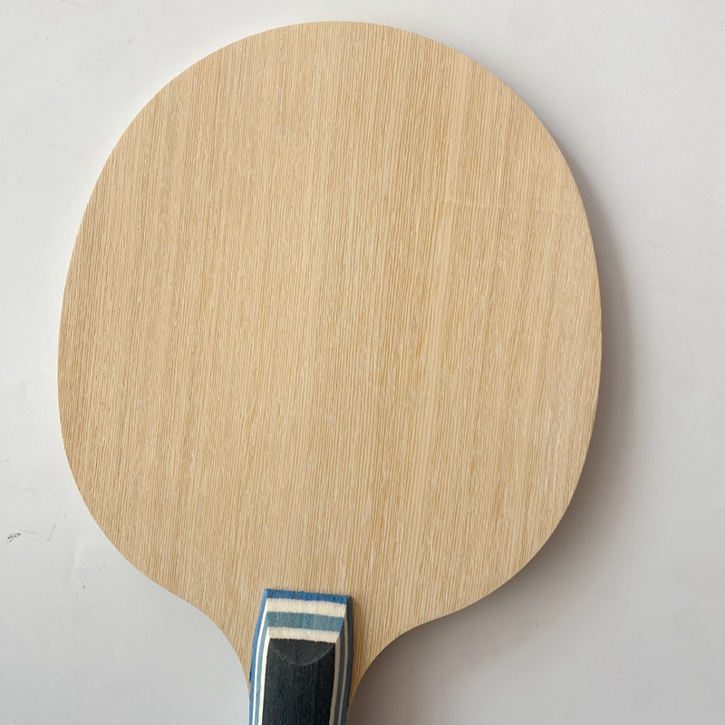 Lemuria VIS Carbon Fiber Table - Table Tennis Review ulasan dan harga