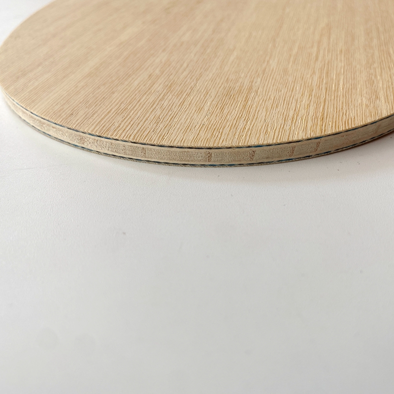 Lemuria VIS Carbon Fiber Table - Table Tennis Review ulasan dan harga