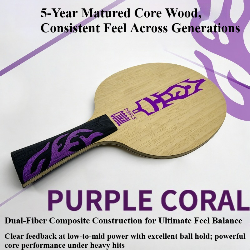 Meteor Purple Coral Table Tenn - Table Tennis Racket ulasan dan harga