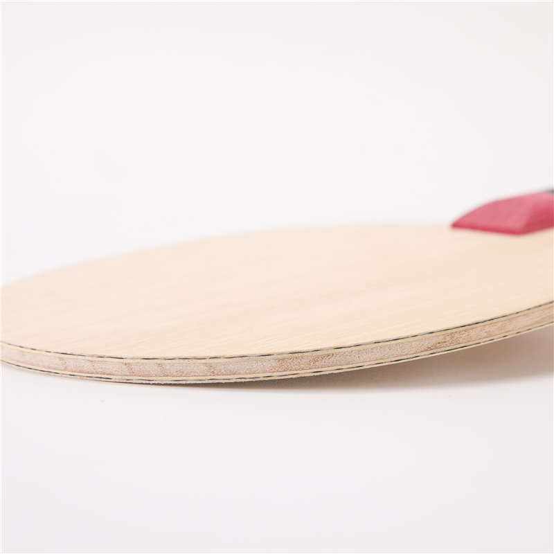 Stuor 5 Layers Wood With 2 Lay - Table Tennis Review ulasan dan harga